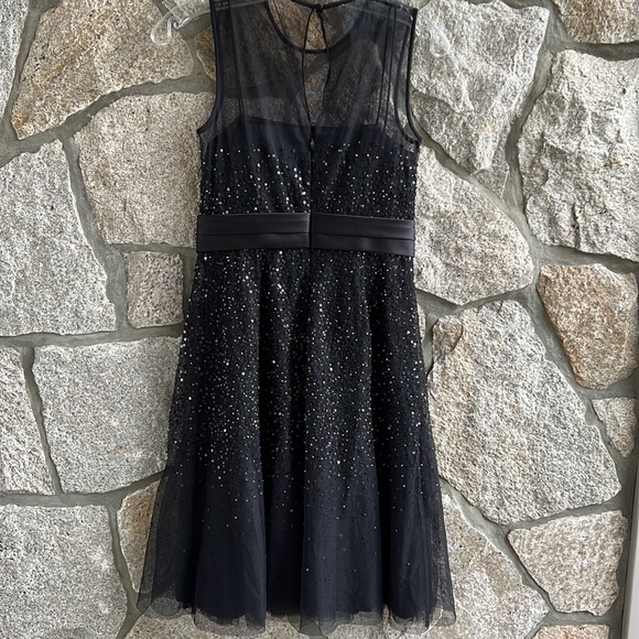 Ann Taylor Party Dress Sequins with Mesh Neckline with Tulle Sequins Body - Picture 4 of 12